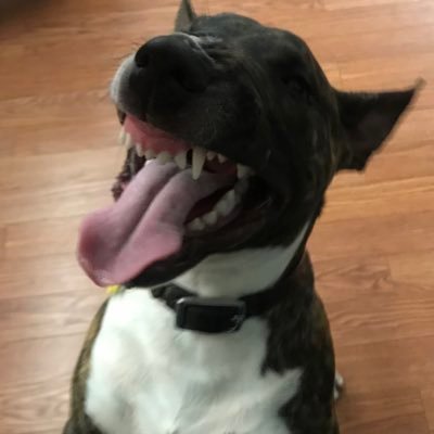 Michaelnj111's profile picture. @Bitcoin ₿  🚀🧨🧨🚀💰