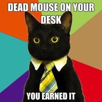 UmbriferousCat's profile picture. 