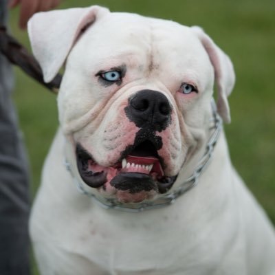 mummof2boys's profile picture. 