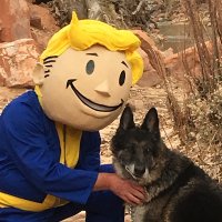 The Chip Monk Show (@pmcbrian) 's Twitter Profile Photo The Chip Monk Show (@pmcbrian) 's Twitter Profile Photo