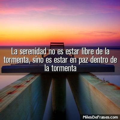 Sandra Anselmo (@SandraAnselmo8) / Twitter