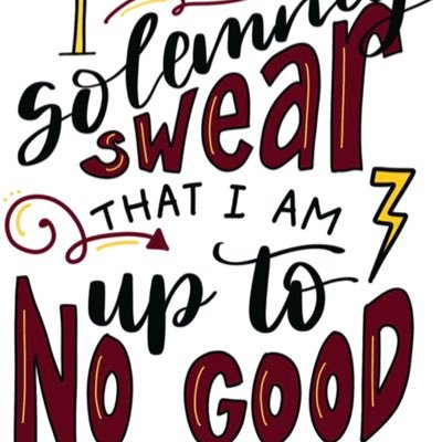 ⚡️I Solemnly Swear I’m Up To No Good ⚡️