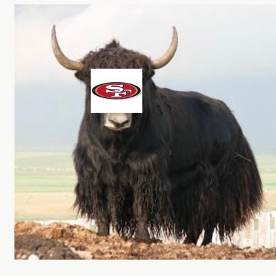 Your DEFINITIVE source for all 49ers takes and cranky Yak thoughts. Straight from the mountain top™️!