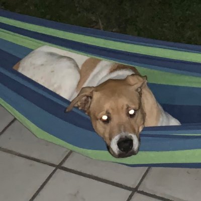 LauraCory2013's profile picture.
