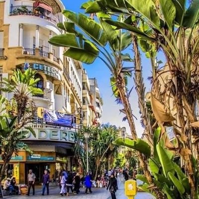 lemaitre_roche's profile picture. 