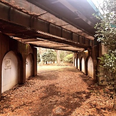 i0Q3Ienb3zjRWvZ's profile picture. 41才🚹 2020年11月に4.5mmの神経内分泌腫瘍が直腸に見つかる ESDにて切除 G1 静脈侵襲+ 手術は選択せず経過観察5年目に入る 無言フォロー失礼します🙇‍♂️