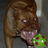 Mookey_V's profile image