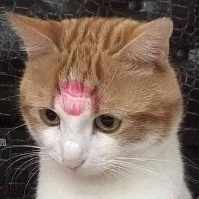 Merimoonuwu1's profile picture. 