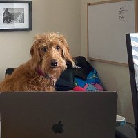 Pat Evans (@patevans) 's Twitter Profile