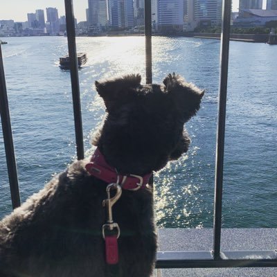 Akikusa Minako やたらと教職員の事件が目立ちますが 最近のことでしょうか 教育改革 速報 島根県立高校長 ひき逃げ容疑で逮捕 21 2 12 山陰中央新報 T Co F2hegj5ybp Akikusa Minako やたらと教職員の事件が目立ちますが 最近のことでしょうか 教育改革 速報 島根県立高校長 ひき逃げ容疑で逮捕 21 2 12 山陰中央新報 T Co F2hegj5ybp