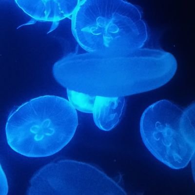 TprBtX's profile picture. 