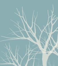 jasonmelhuish's profile picture. write something clever here.