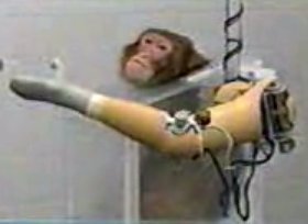 dadarobot's profile picture. 