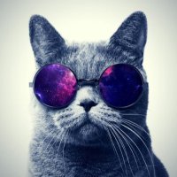 어른 (@1126512ab) 's Twitter Profile
