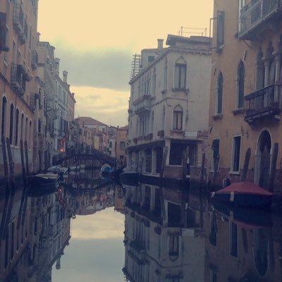 FaisaIo's profile picture. 