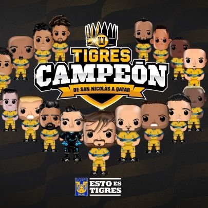 Me gustan los deportes especialmente el fútbol soy tigre de corazón...