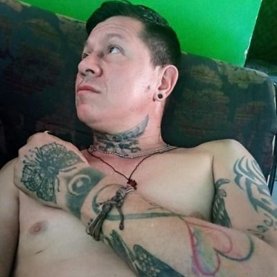 Pisungo3's profile picture. Eʟ Lᴇᴏ́ɴ ɴᴏ ᴠᴏʟᴛᴇᴀ, ᴄᴜᴀ́ɴᴅᴏ ᴜɴ ᴘᴇʀʀᴏ ʟᴀᴅʀᴀ.  X_X  #:-s