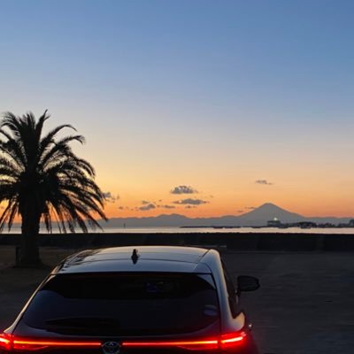 shinzirunari's profile picture. 