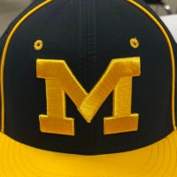 Thurgood Marshall Baseball(@FBMarshallBSBL) 's Twitter Profile Photo