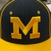 Thurgood Marshall Baseball (@fbmarshallbsbl) Twitter profile photo Thurgood Marshall Baseball (@fbmarshallbsbl) Twitter profile photo