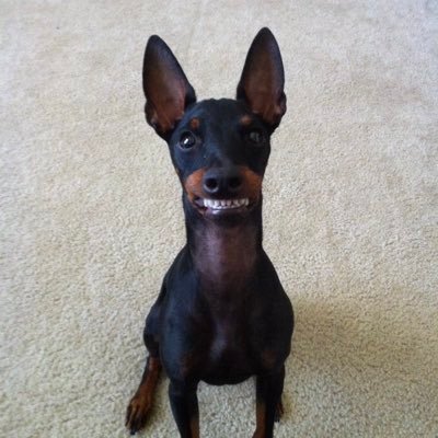 sim7986's profile picture. 