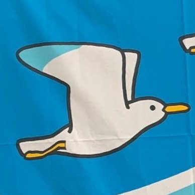 INUさんのプロフィール画像