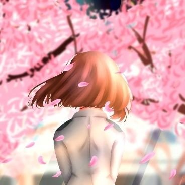 Chiio💛さんのプロフィール画像