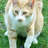 Droodog127's profile image