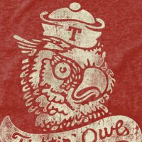 Hoot(@templefanowl) 's Twitter Profile Photo