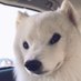 m (@luxuryxo) Twitter profile photo m (@luxuryxo) Twitter profile photo