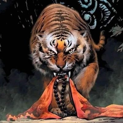 vijendra0152's profile picture. Software Engineer