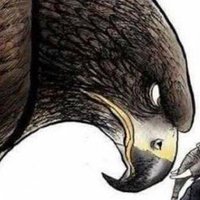 cdhands 🇺🇸 (@mycdhands) 's Twitter Profile