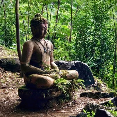 AlohaMyst's profile picture. 