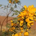 Darryl Clarke - @easywebkiosk - Twitter