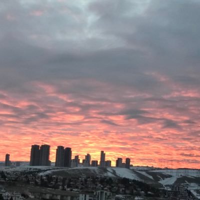 hac31509029's profile picture. 