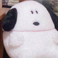 ぽり子 (@por_1115t) 's Twitter Profile Photo ぽり子 (@por_1115t) 's Twitter Profile Photo
