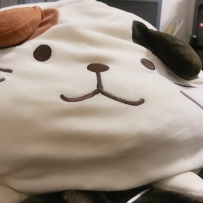 エンジニアになった先生/TypeScript/Next.js/Laravel/Go/CDK ハイドラを愛しています