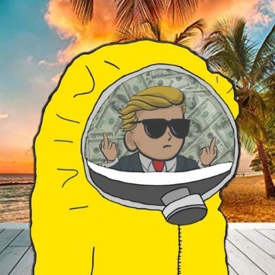 dr. Hazypep🇲🇹 Landing on the moon with $DOT and other altcoins.
Researched at Block Spotlight and HUGE supporter of $FREE movement