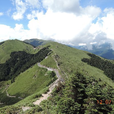 0wPXwq9h2AroogT's profile picture. 