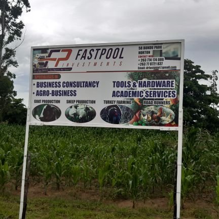 FastpoolI's profile picture. 