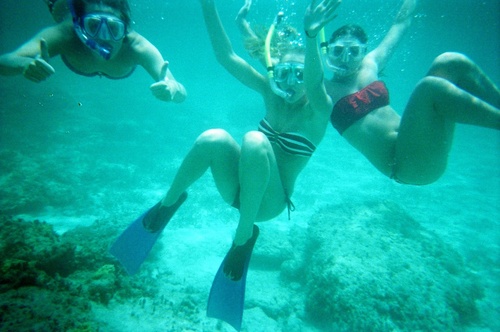 whaatthebeck's profile picture. 