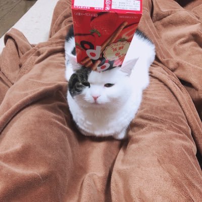 サムレムをやるんだby辛楽さんのプロフィール画像