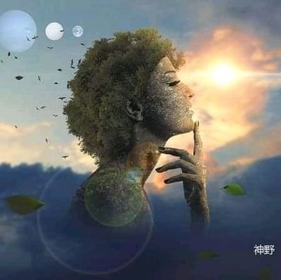 KnotsNezara's profile picture. i work for the tomorrow me