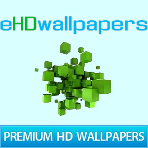 eHDwallpapers's profile picture. Free HD wallpapers for your desktop ready to download. Huge collection of high definition wallpapers for your desktop in various sizes (for any resolution).
