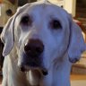 salgatt's profile picture. Constantly Tinkering With Technology and Tweeting Related Stories