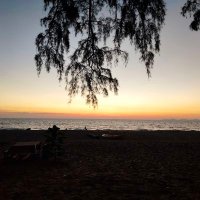 คู่ตรัง(เล่น2คน) (@p5hddyrt492jc3m) 's Twitter Profile Photo คู่ตรัง(เล่น2คน) (@p5hddyrt492jc3m) 's Twitter Profile Photo