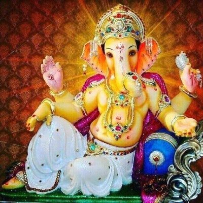 shaillohiya's profile picture. 