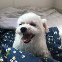 Eli Ahn - @EliAhn8 - Twitter