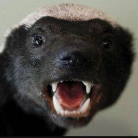 Boney Hadger (@thehbwrites) 's Twitter Profile