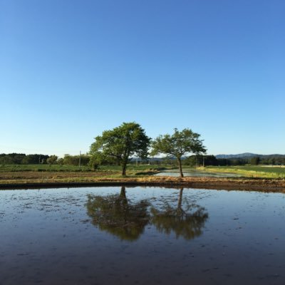 これからのこの国...なにが残せるのだろう        子どもたちの